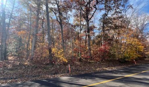 Photo #2 of 616 MT PLEASANT DR, LOCUST GROVE, VA 0.3 acres