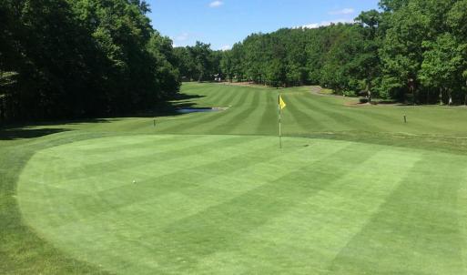 Photo #12 of 616 MT PLEASANT DR, LOCUST GROVE, VA 0.3 acres