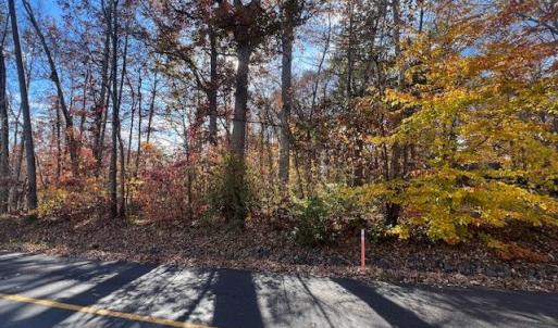 Photo #4 of 616 MT PLEASANT DR, LOCUST GROVE, VA 0.3 acres