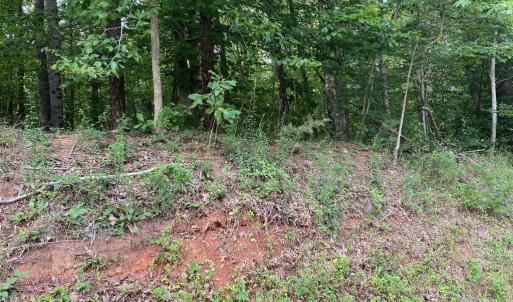Photo #1 of LAHORE RD, ORANGE, VA 5.0 acres