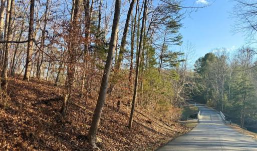 Photo #3 of N LAKESHORE DR, LOUISA, VA 0.3 acres