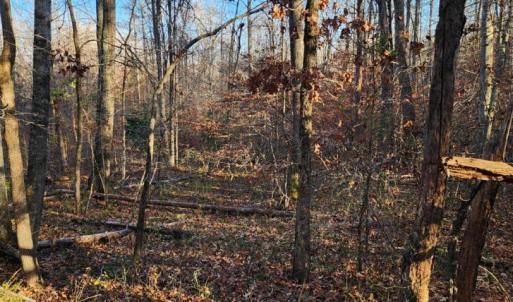 Photo #9 of BUGGY LN, ROCHELLE, VA 4.9 acres