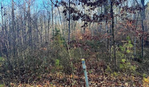Photo #5 of BUGGY LN, ROCHELLE, VA 4.9 acres