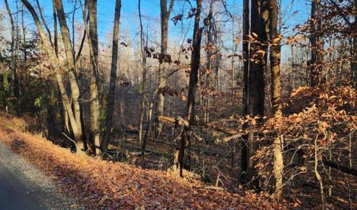 Photo #7 of BUGGY LN, ROCHELLE, VA 4.9 acres