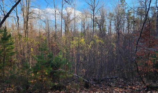 Photo #9 of BUGGY LN, ROCHELLE, VA 4.9 acres