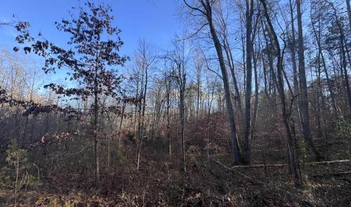 Photo #5 of BUGGY LN, ROCHELLE, VA 4.9 acres
