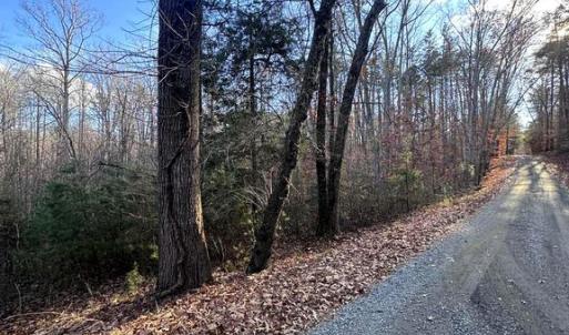 Photo #3 of BUGGY LN, ROCHELLE, VA 4.9 acres