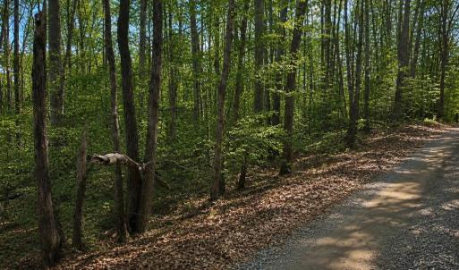 Photo #4 of BUGGY LN, ROCHELLE, VA 4.9 acres