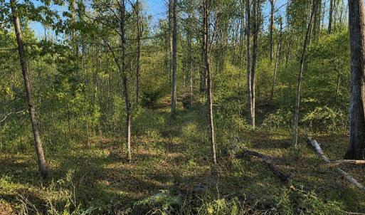 Photo #3 of BUGGY LN, ROCHELLE, VA 4.9 acres