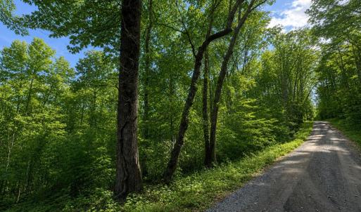 Photo #2 of BUGGY LN, ROCHELLE, VA 4.9 acres