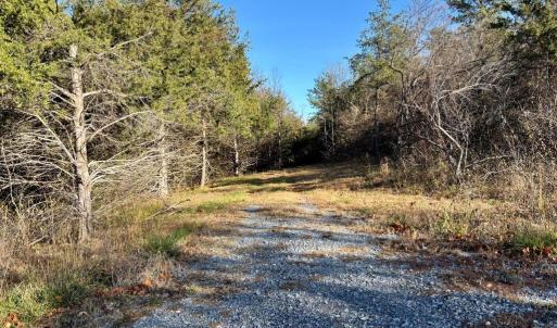Photo #6 of HARPER VALLEY RD, LURAY, VA 8.2 acres