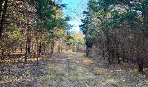 Photo #11 of HARPER VALLEY RD, LURAY, VA 8.2 acres