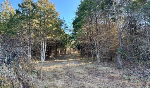 Photo #15 of HARPER VALLEY RD, LURAY, VA 8.2 acres