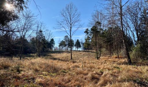 Photo #8 of HARPER VALLEY RD, LURAY, VA 8.2 acres