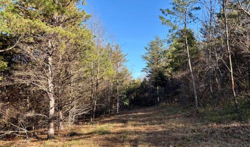 Photo #12 of HARPER VALLEY RD, LURAY, VA 8.2 acres