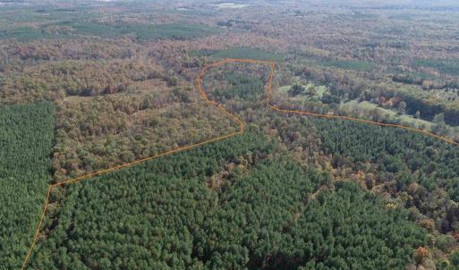 Photo #6 of OFF OF SHORES ROAD (TRACT: TANAGER ET2 2020), SCOTTSVILLE, VA 153.1 acres