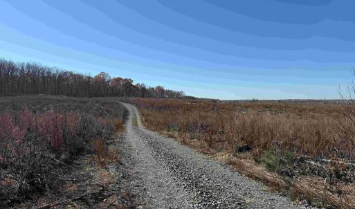 Photo #5 of WINNSVILLE DRIVE (TRACT: TANAGER ET2 2021), BREMO BLUFF, VA 159.0 acres