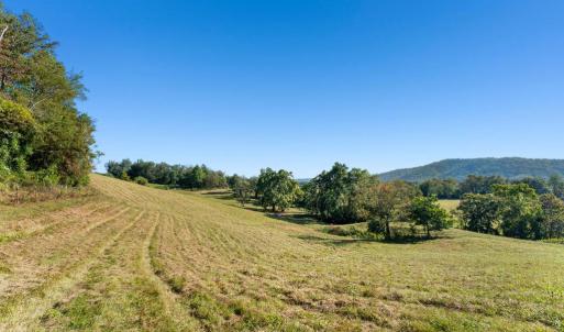 Photo #5 of 439 RUDASILL MILL RD, WOODVILLE, VA 75.1 acres