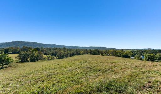 Photo #6 of 439 RUDASILL MILL RD, WOODVILLE, VA 75.1 acres