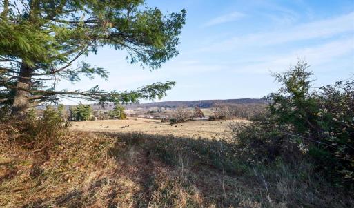 Photo #4 of MERRY OAKS ROAD, THE PLAINS, VA 33.1 acres