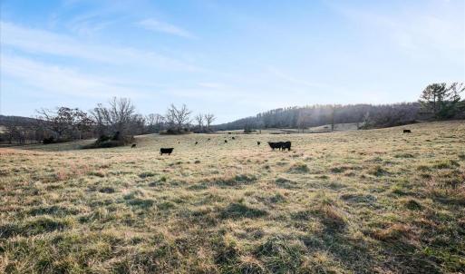 Photo #5 of MERRY OAKS ROAD, THE PLAINS, VA 33.1 acres