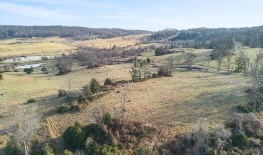 Photo #14 of MERRY OAKS ROAD, THE PLAINS, VA 33.1 acres