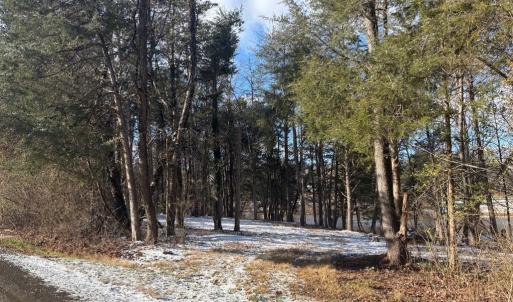 Photo #18 of MCALEXANDER RD, ORANGE, VA 3.4 acres