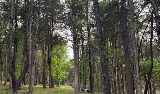 Photo #5 of MCALEXANDER RD, ORANGE, VA 3.4 acres