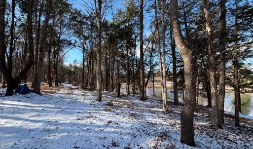 Photo #11 of MCALEXANDER RD, ORANGE, VA 3.4 acres