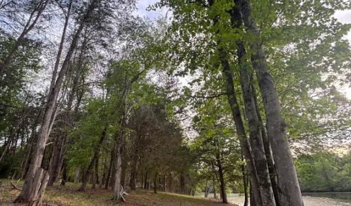 Photo #4 of MCALEXANDER RD, ORANGE, VA 3.4 acres