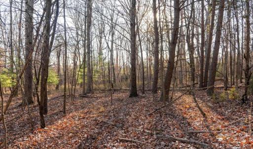 Photo #2 of WOODLAND DR, LURAY, VA 1.6 acres