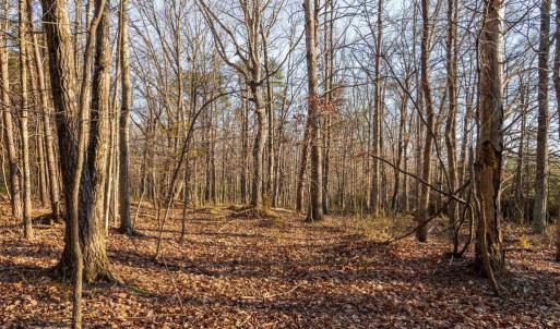 Photo #23 of WOODLAND DR, LURAY, VA 1.6 acres