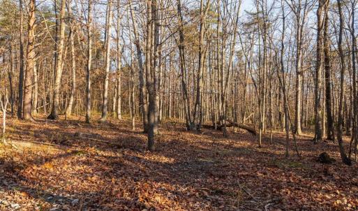 Photo #25 of WOODLAND DR, LURAY, VA 1.6 acres