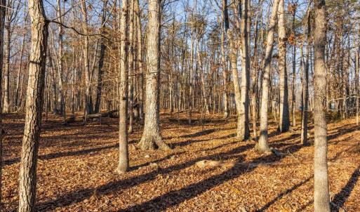Photo #26 of WOODLAND DR, LURAY, VA 1.6 acres