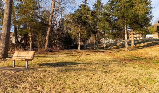 Photo #30 of WOODLAND DR, LURAY, VA 1.6 acres