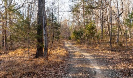 Photo #20 of WOODLAND DR, LURAY, VA 1.6 acres