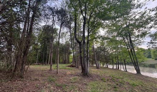 Photo #4 of MCALEXANDER RD, ORANGE, VA 1.5 acres