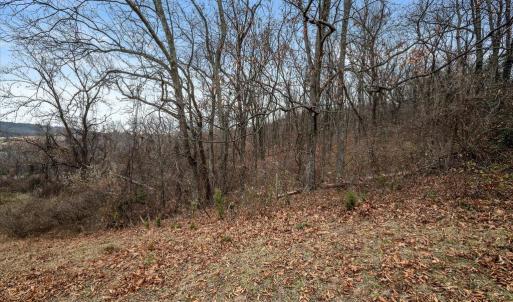 Photo #14 of MERRY OAKS RD, THE PLAINS, VA 57.8 acres
