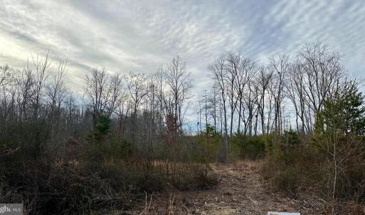 Photo #1 of BELSCHES RD, BUMPASS, VA 1.7 acres