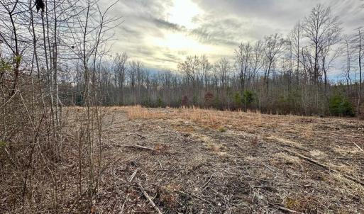 Photo #2 of BELSCHES RD, BUMPASS, VA 1.7 acres