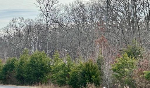 Photo #3 of BELSCHES RD, BUMPASS, VA 1.7 acres