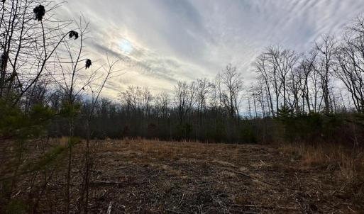 Photo #2 of BELSCHES RD, BUMPASS, VA 1.7 acres