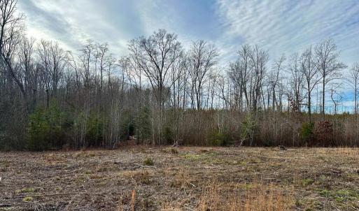 Photo #1 of BELSCHES RD, BUMPASS, VA 1.7 acres