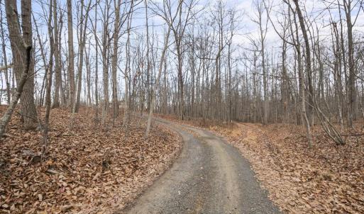 Photo #3 of 7389 LEEDS MANOR RD, MARSHALL, VA 101.0 acres