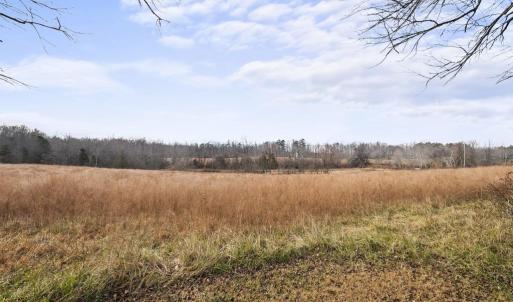 Photo #13 of 7389 LEEDS MANOR RD, MARSHALL, VA 101.0 acres