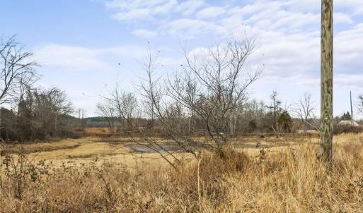 Photo #22 of 7389 LEEDS MANOR RD, MARSHALL, VA 101.0 acres