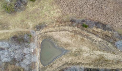 Photo #31 of 7389 LEEDS MANOR RD, MARSHALL, VA 101.0 acres