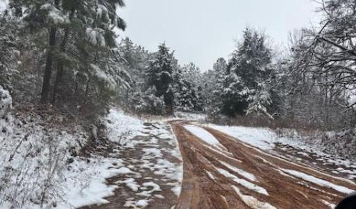 Photo #2 of  25.1 acres