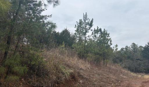 Photo #3 of  25.1 acres