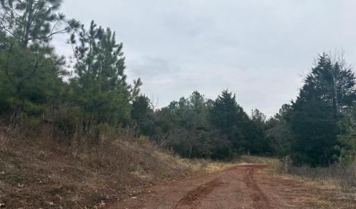 Photo #4 of  25.1 acres